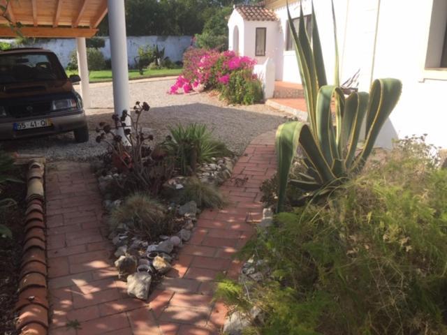 Casa Mimosa Bed & Breakfast São Brás de Alportel Eksteriør bilde