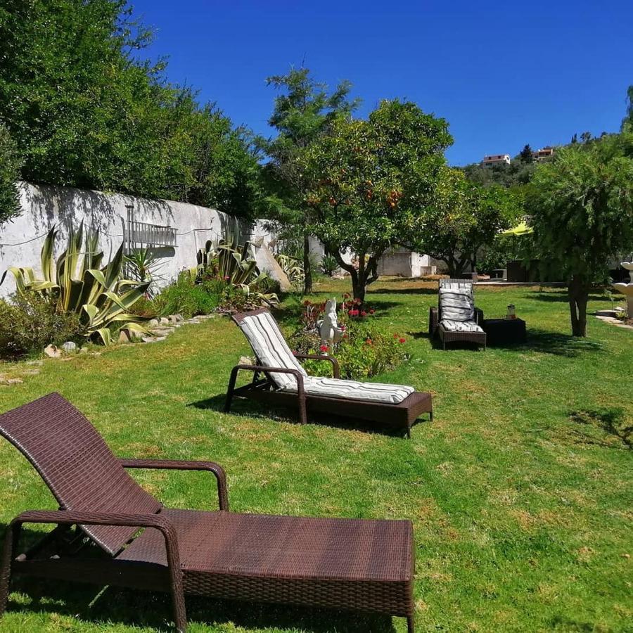 Casa Mimosa Bed & Breakfast São Brás de Alportel Eksteriør bilde