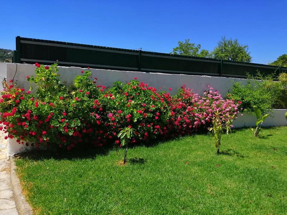 Casa Mimosa Bed & Breakfast São Brás de Alportel Eksteriør bilde
