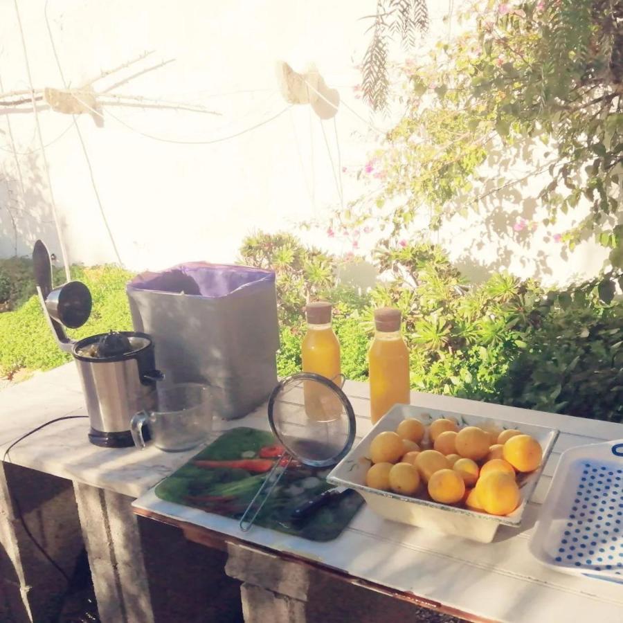 Casa Mimosa Bed & Breakfast São Brás de Alportel Eksteriør bilde